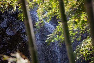 《十字军之王3》DLC流浪贵族将于11月4日发布