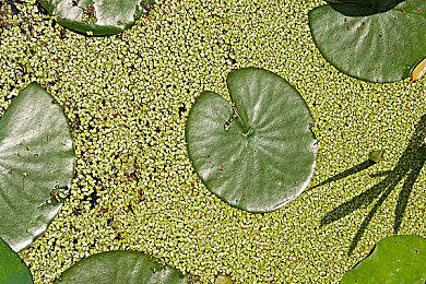 三消桌面策略游戏《跨越：主动出击》现已在Steam平台推出试玩Demo