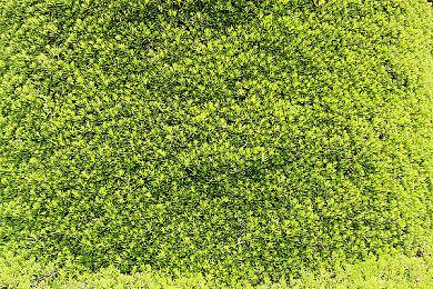 《原始袭变》《如龙7外传》两款游戏PC配置公布